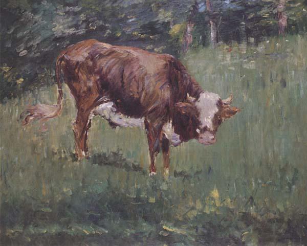 Edouard Manet Jeune taureau dans un pre (mk40)